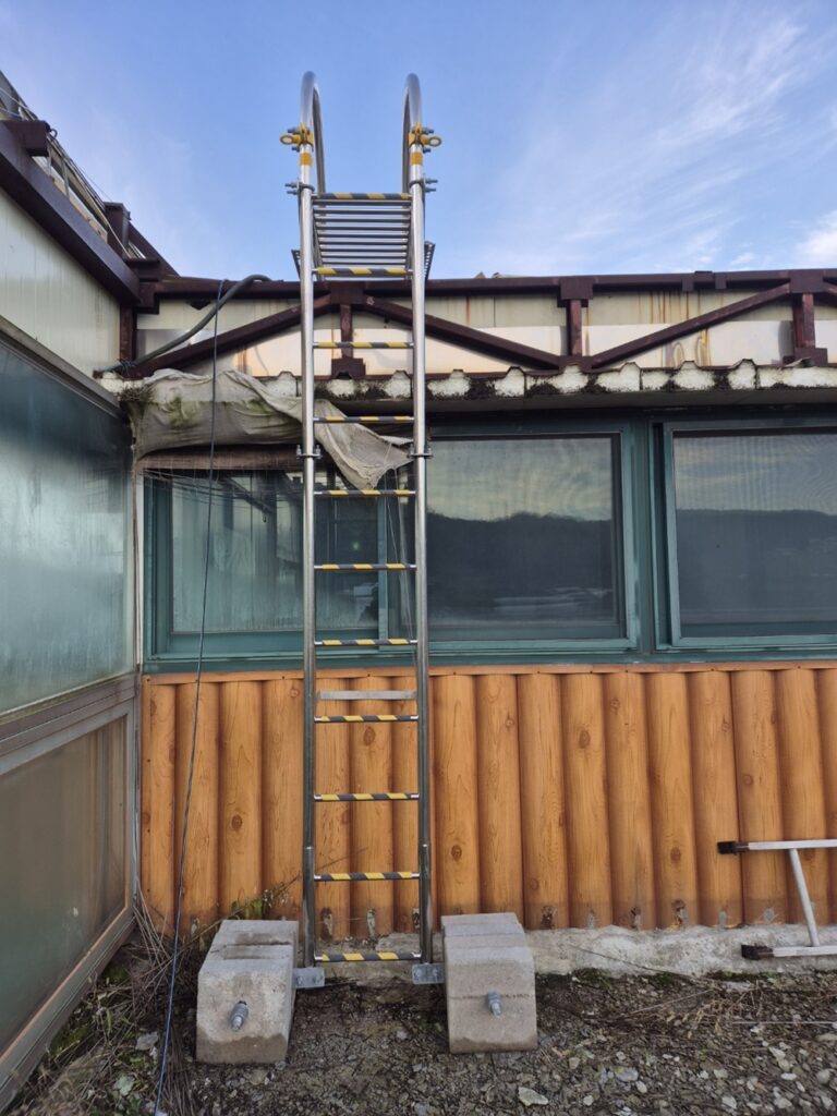 KakaoTalk_20260303_002347216_08